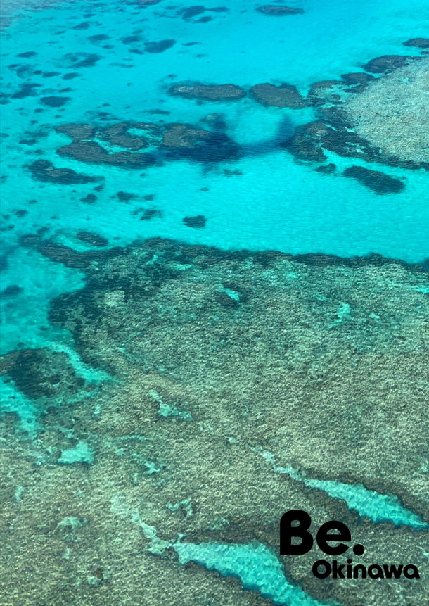 Be.Okinawa サンゴ