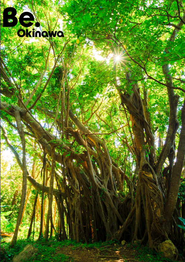 Be.Okinawa ガジュマル